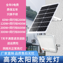 (Light Pig) Burst Solar Courtyard Lamp Rural Outdoor Home Lighting Super Bright Engineering Special Led Street Lamp