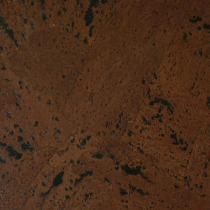 Original imported Portuguese cork wallboard Vicon cork RY1I001