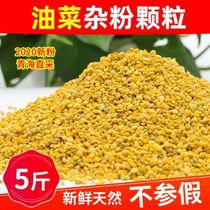 Rapeseed Miscellaneous powder 2019 natural pollen beekeeping and feeding bees pollen bee feed bee food pollen granules