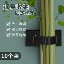Green plant fixer stereotyped Green rose Wall artifact household buckle no trace adhesive hook paste climbing clip Wall vine climbing vine climbing vine
