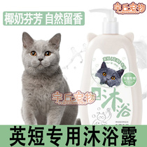 English short cat special cat mummy bathing and killing mites bacteria except flea to flea bathing pet supplies full range of cats