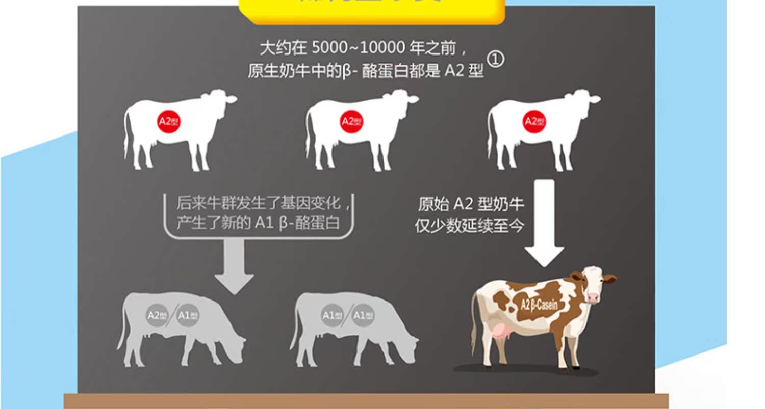 纽仕兰进口A2儿童高钙纯牛奶24盒