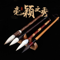 Book Liang calligraphy brush mouse beard sheep and cents sheep and cantals regular script official calligraphy pen beginners calligraphy pen writing writing writing writing writing writing writing writing