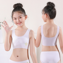 Girls underwear during development primary school and junior high school 12-year-old girls incognito bra suspenders anti-bumps girls underwear 13