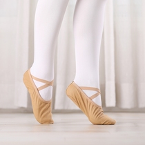 Dance shoes for children womens soft soles adult cat feet yoga classical ballet shoes black and white camel