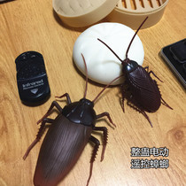 Remote control toy fake cockroach electric child simulation animal cyber red prank cat mouse moving insect