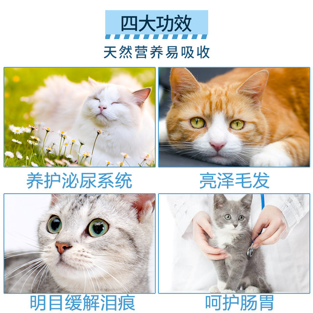 ydy freshman gluten-free cat food urinary system into kittens universal British short US short fat fat cheek cat food 2KG ydy freshman gluten-free cat food urinary system into kittens universal British short US short fat fat cheek cat food 2KG