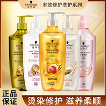 Schwaffo shampoo with water conditioner for women ginger control oil fluffy anti-fall shampoo to improve the hair and moisturize the milk