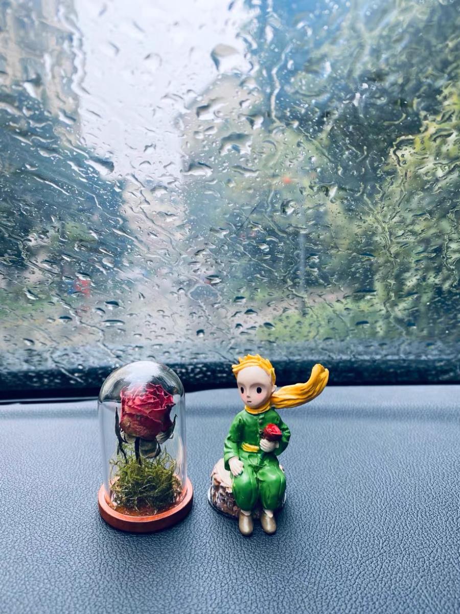 小王子玫瑰花礼盒迷你创意生日干花花生花玻璃罩情侣永生花