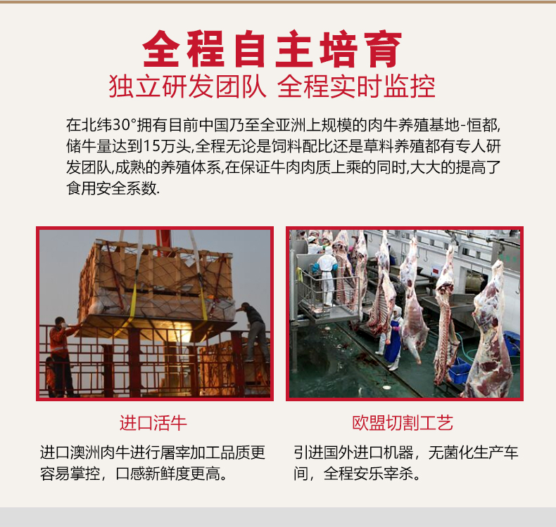 全程自主培育独立研发团队全程实时监控在北纬30°拥有目前中国乃至全亚洲上规模的肉牛养殖基地-恒都,储牛量达到15万头,全程无论是饲料配比还是草料养殖都有专人硏发团队,成熟的养殖体系,在保证牛肉肉质上乘的同时大大的提高了食用安全系数.进口活牛欧盟切割进口澳洲肉牛进行屠宰加工品质更引进国外进口机器,无菌化生产车容易掌控,口感新鲜度更高。全程安乐宰杀-推好价 | 品质生活 精选好价