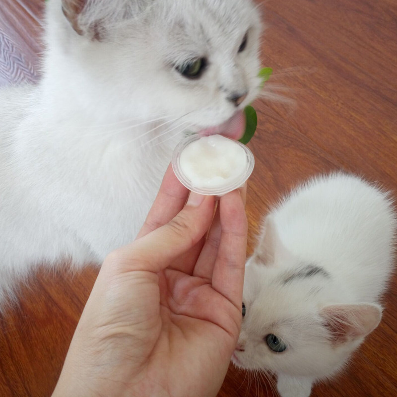 both山羊奶猫布丁猫果冻幼猫 成猫怀孕母猫零食桶装16g*50粒19.