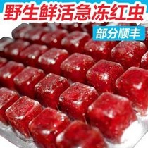 Jiuhe frozen red blood worm frozen red worm red worm red worm nematode colorful fairy fish swallow fish feed aluminum foil plate