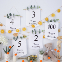 Senteinins wind digital hanging flag Baby birthday Birthday Decoration Hanging party party party background wall Scene arrangement