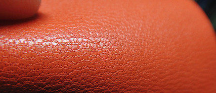 头层羊皮的毛孔是这样的下面我们以头层羊皮和黄牛皮为例放两张高清