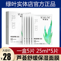 Green Leaf Shinoise Aloe Soothing Mask 25ml * 5 slices of water tonic moisturizing water moisturizing nourishing and nourishing the skin