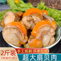 Scallop meat fresh frozen oversized 2kg garlic vermicelli fresh shellfish meat with yellow Frozen Seafood shellfish aquatic products