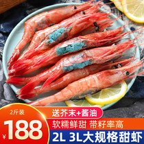 Arctic sweet shrimp sashimi large raw Russian Arctic shrimp ready-to-eat sushi shrimp ice shrimp belly seed 3L extra large