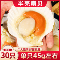 Scallops fresh and fresh oversized large scallops garlic vermicelli scallops semi-shells frozen seafood aquatic products