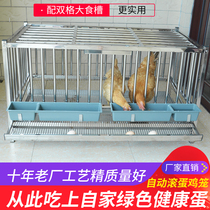 Egg cage automatic egg rolling stainless steel chicken cage household stainless steel egg cage household stainless steel egg cage automatic egg chicken nest