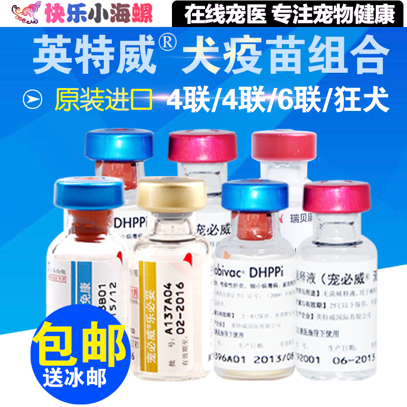 正品英特威狗疫苗套装四联/四联/六联/狂犬幼犬疫苗小狗可用疫苗_7折