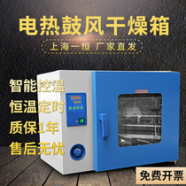 Shanghai Yiheng DHG-9035A 9055A 9075A 9145A 9245A Electric constant temperature blast drying oven