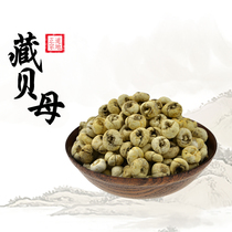 Lan Shengtang Fritillaria Tibetan specialties Tibetan Fritillaria Tibetan Pingshellfish powder Micro bitter bitter 250g 80 yuan