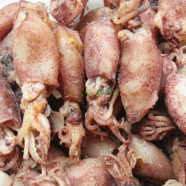 Qinhuangdao Beidaihe specialty cuttlefish small squid pen pipe fish wild seafood dry non-instant 250g