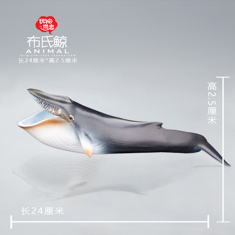 Игрушки-животные 动物模型玩具 布氏鲸