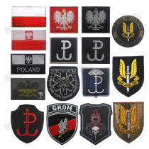 Pirate Vest Badge Reflective Polish Flag Embroidered Velcro Chapter Polish Eagle Flag English SAS Armband