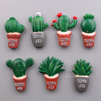 Plant three-dimensional magnet refrigerator stickers Cactus refrigerator stickers Succulents creative flower magnet buckle home decoration