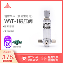 Precision Gas Stabilizer Valve WYF-1 2mm3mm6mm Pressure Control Valve Laboratory Chromatography Parts Dahua
