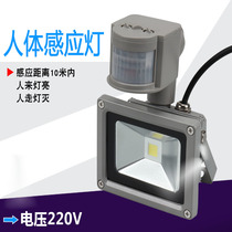 Monitoring infrared body sensor light Camera camera fill light LED monitoring flood light irradiation light