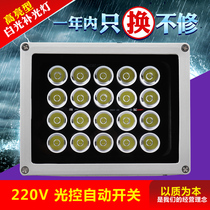 LED array illuminated license plate light control switch cast light fill light 220V wide voltage night vision monitoring white light light
