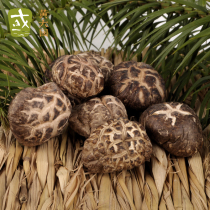 250 grams of flower mushrooms big meat thick simple and delicious