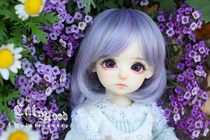 (Cat pedigree)6 points BJD wig wild pear flower head~3 colors into~ spot oh~