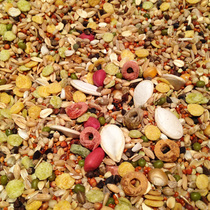 5 home-made five-grain hamster grain clean pure five-grain delicious main food 400g