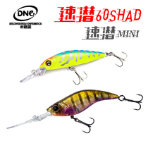 DNE to go to the road Asian speed diving SHAD long tongue plate deep diving slow floating minoluya bait fake bait Mandarin fish perch bait