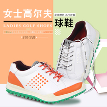 New ARIGA ladies golf shoes ultra slim fit Breathable Fixed Nail Wear type 3 Color