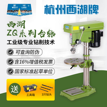 Hangzhou West Lake zq series desktop industrial bench drill household diy drilling machine high precision 16mmzq4113zq4116