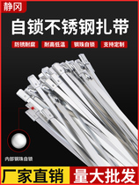 304 white light stainless steel ties 4 6 * 100mm steel ball self-lock marine metal strapping with 100 strips