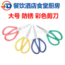 4D Kitchen Catering Hotel Kindergarten School Canteen Color Scale Management Large Color Stainless Steel Anti-Rust Scissors