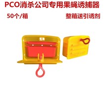 Smart cat fruit fly booby trap station fruit shop small mosquito fresh supermarket KTV fruit fly trap lure fruit fly trap