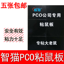 Smart cat PCO company sticky mouse board sticky mouse glue super strong mouse paste rodenticizer clip household mousetrap 5