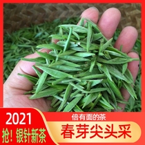 2021 Super Silver Needle spring bud tip Rizhao green tea Mao Jian strong flavor type Alpine new tea fried green chestnut incense 500g