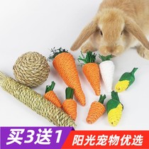 3 delivery for 1 rabbit grinders choreography sultry stuffed toy dragon cat guinea pig hamster hamster hand chiconic carrot grass toy