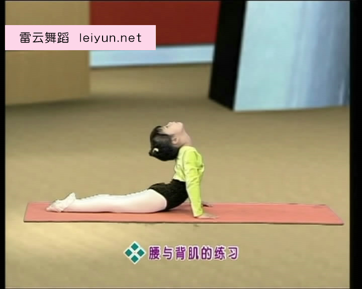幼儿舞蹈启蒙训练 少儿形体训练 成品分解教学 送全部