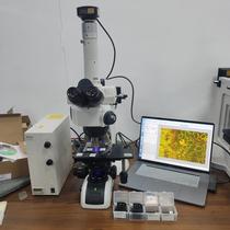 Chubby Nikonicon ECLIPSE LV100ND new orthophosis golden phase dual microscope bargaining