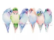 Urped Heavy Genuine Silk Tight Twirl With Hand Dyed Embroidered Tangled Wire Finger Slalom