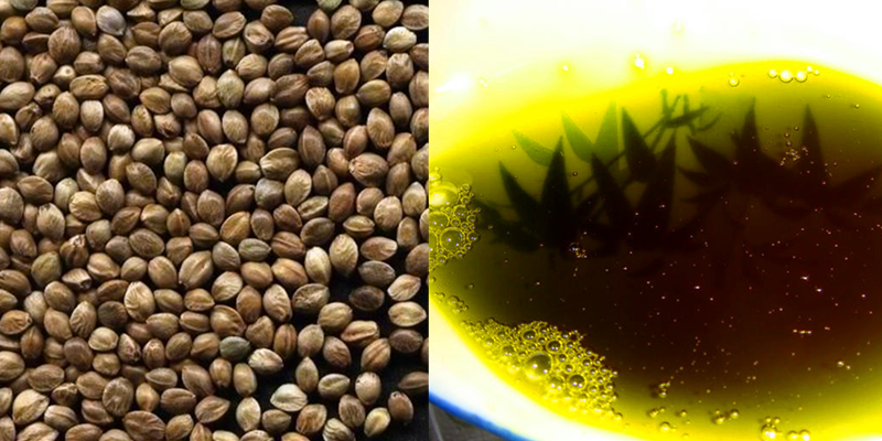 山西陵川特产豹犊沟小麻籽油麻油火麻油线麻子油香油麻子仁1000ml