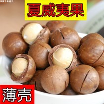 New Macadamia nuts original cream flavor Daily snack food nuts 500g net content Pregnant women snacks fried goods